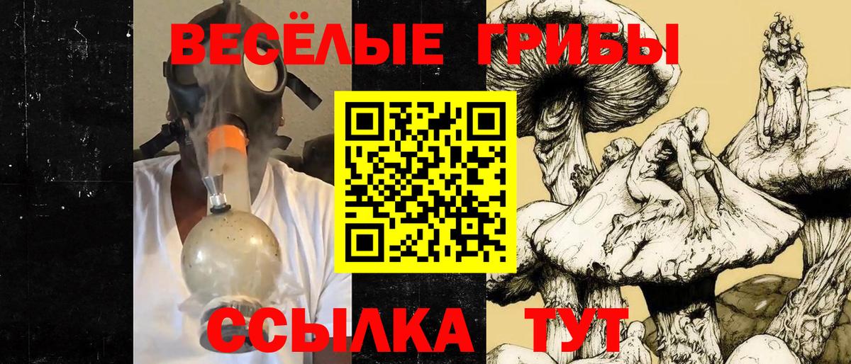 Россия  Галлюциногенные грибы мицелий  Вход с VPN 