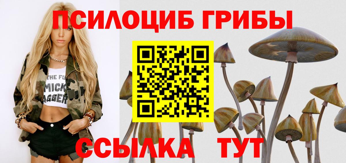 Галлюциногенные грибы Cubensis Россия
